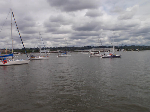 P5051115.jpg